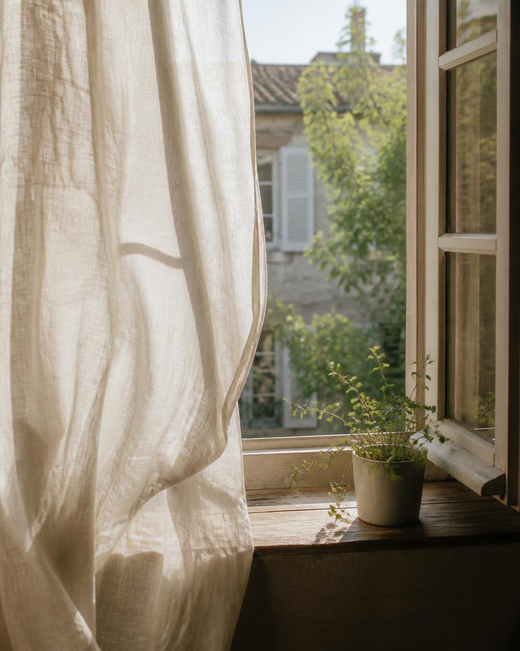 Ventana abierta con cortina de lino y una pequeña planta a luz de mañana